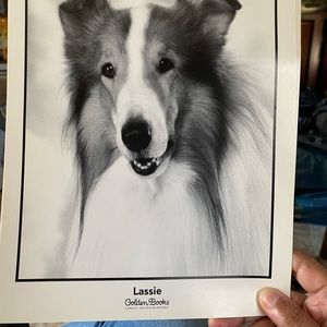 Promotional photo for Lassie